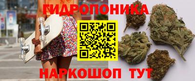 сатива Моздок