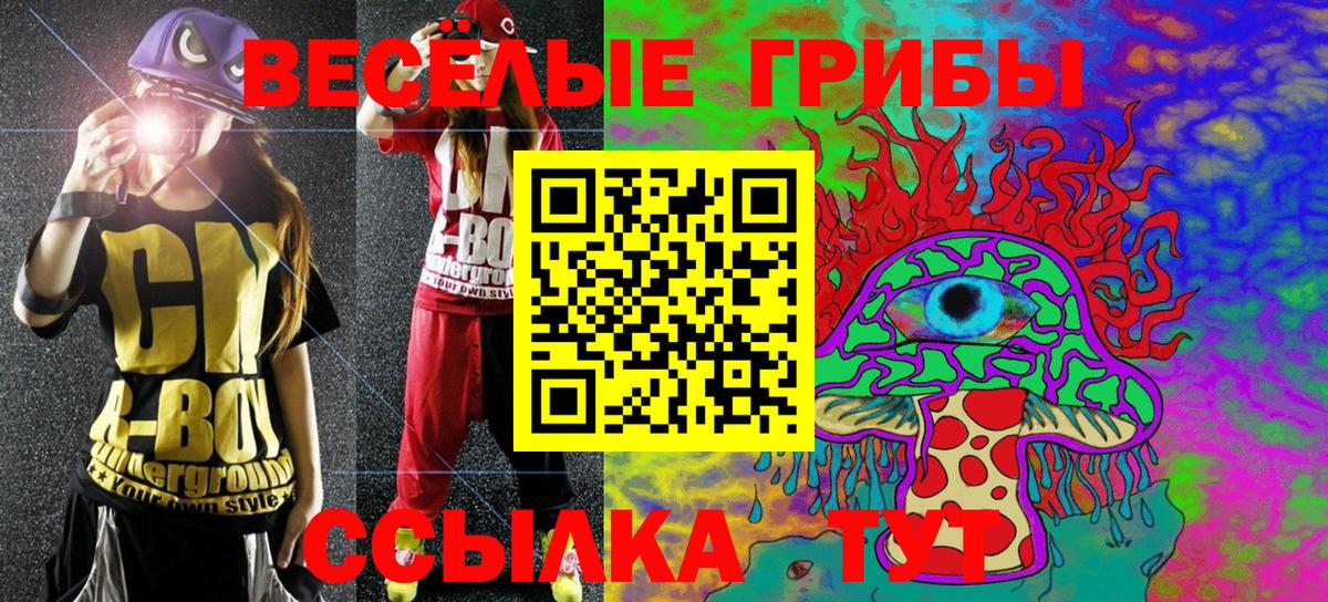 Псилоцибиновые грибы мицелий  как найти закладки  Энгельс  Псилоцибиновые грибы Psilocybe  Вход с VPN 
